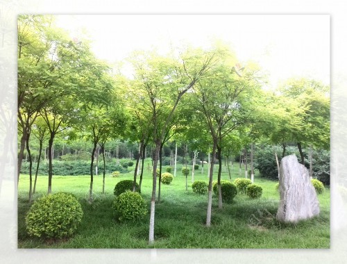 boyu博鱼中国官方网站：云南垂直绿化工程施工企业