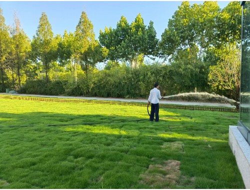 博鱼boyu官方网站：现在绿化工程前景如何