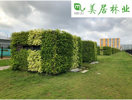 boyu博鱼中国官方网站：孝感城市绿化规划