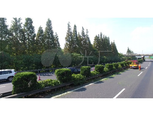 博鱼官方网站：园林绿化工程报建报监问题