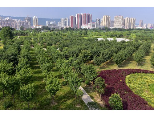 博鱼boyu体育官方平台：新郑节能园林绿化工程涂料