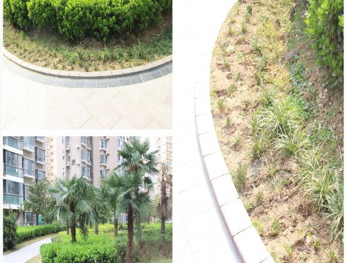 boyu博鱼中国官方网站：新乡市南外环道路绿化工程