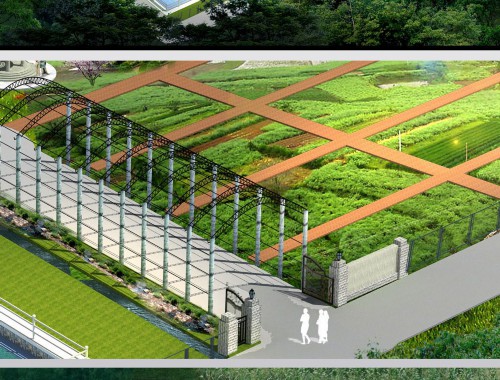 博鱼中国官网：新沂新宿公路绿化工程