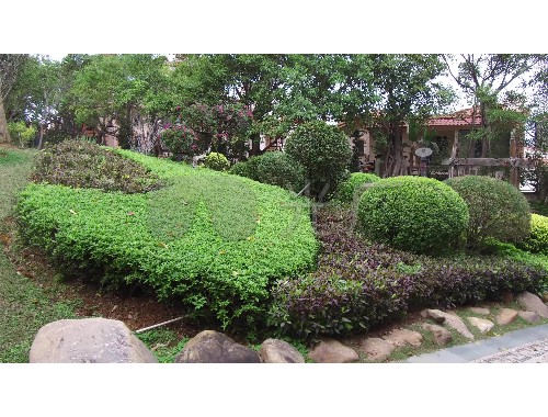 博鱼boyu体育官方平台：玉林城市绿化条例最新